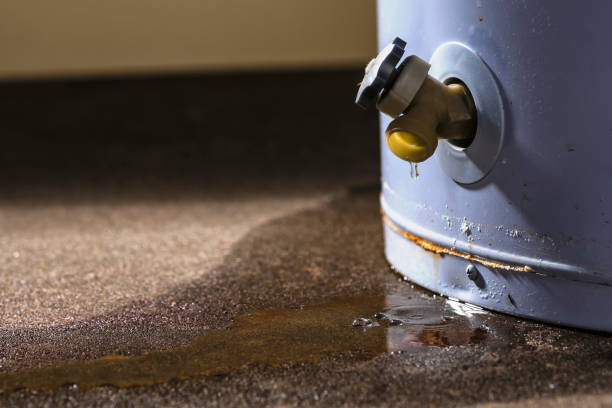 Trusted Water Damage Restoration in Cool Valley, MO | Fast, Reliable, and Ready to Assist You